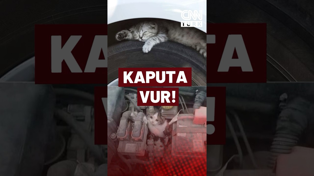 Kaputa Vur, Can Dostlarını Koru! Kaan Temeltaş&rsquo;tan &Ouml;nemli Uyarı!