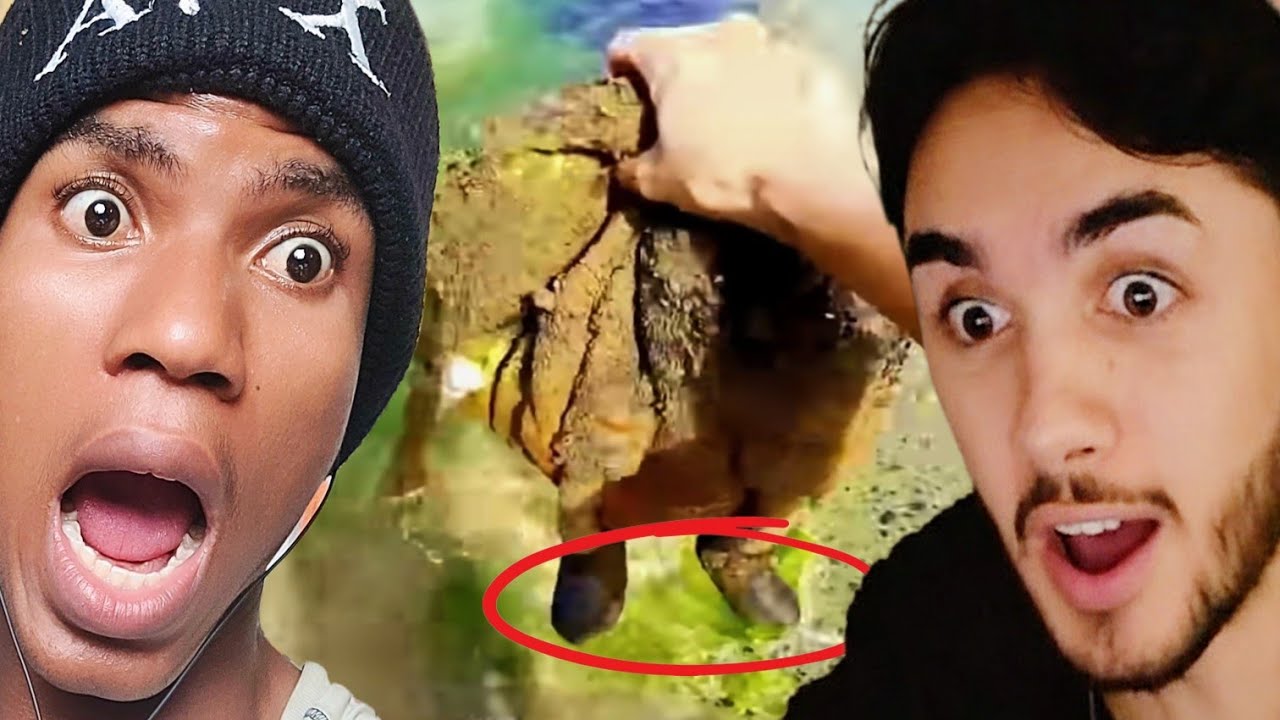Louisayy and FJplayz Reacts to Cleangirl