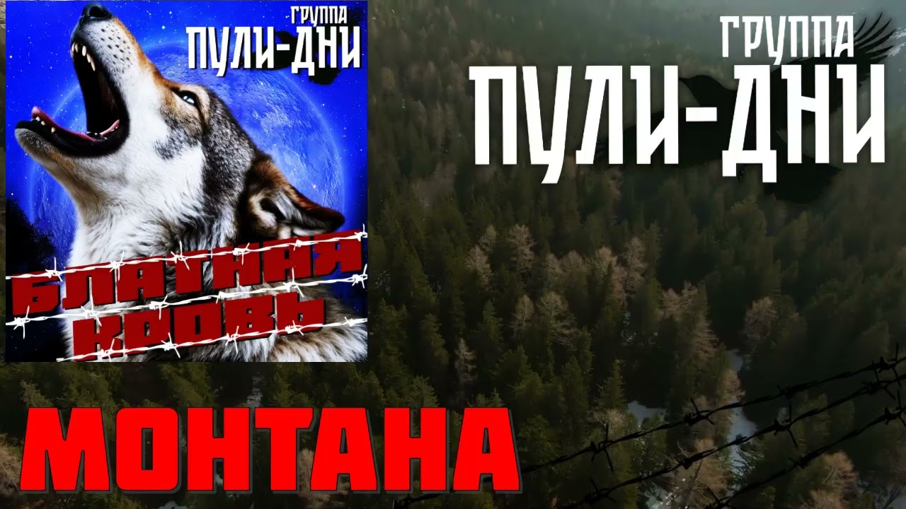 Группа Пули Дни   Монтана