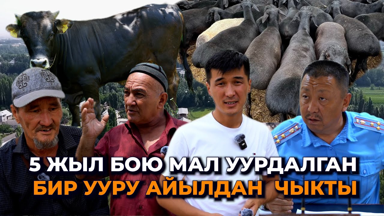 Мал жоголот, ууру табылбайт/ Кармалса жазаланбайт/ Ноокендеги элдин арыз-муңу