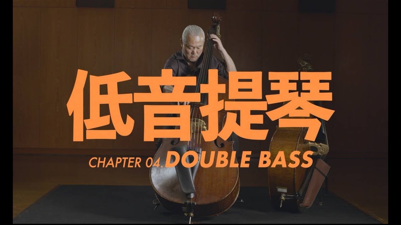 低音提琴介紹 Double Bass