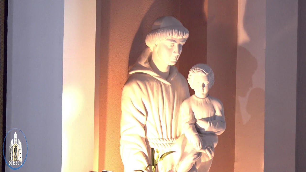 LIVE - Biserica Romano-Catolică  Sfinţii Petru si Paul  Bacau