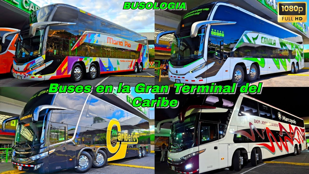 Movimiento de buses en la gran terminal del caribe,San José junto a @SebastianSaborioCR 