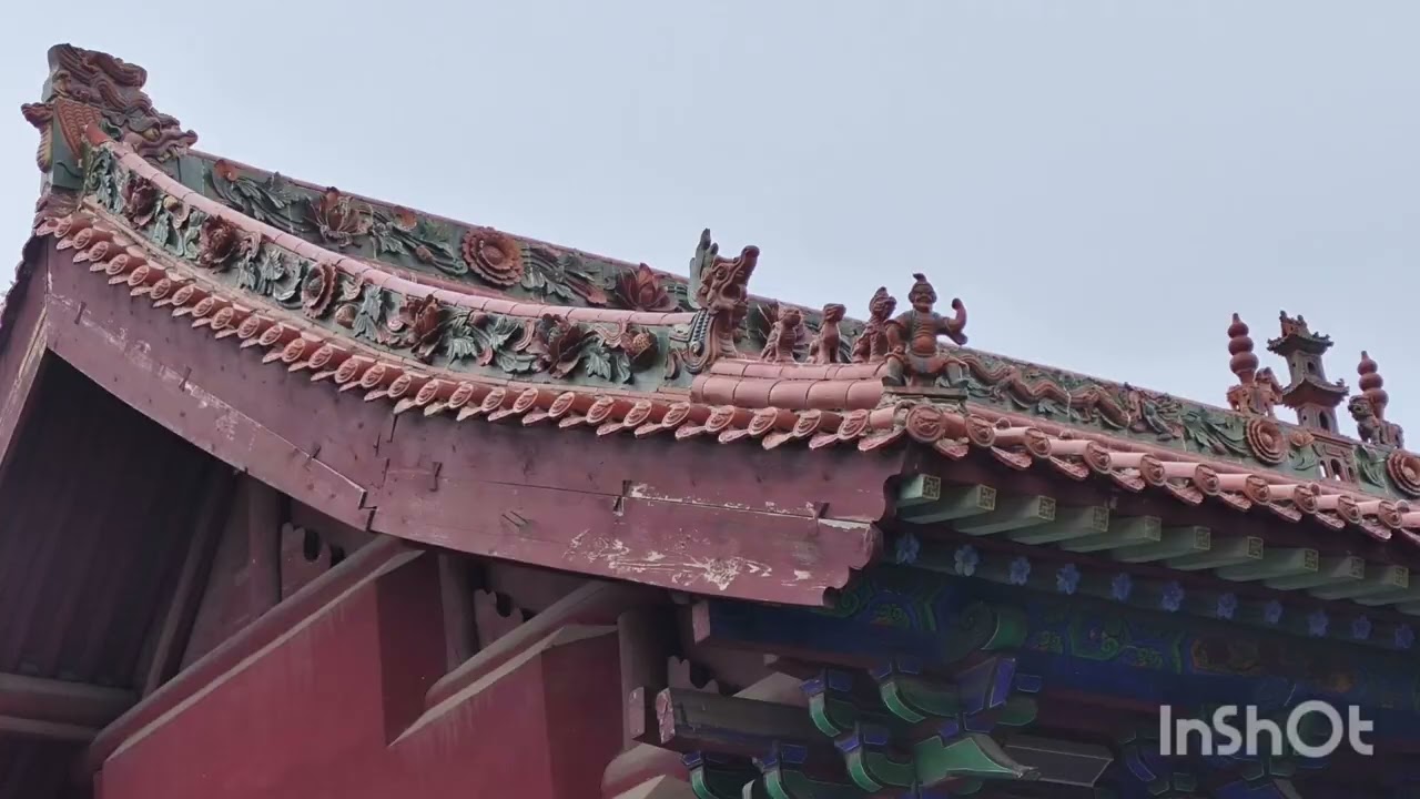 Visit to Hongtong Big Locust Tree Dahuaishu 洪通大槐树 Shanxi 03.07.24.