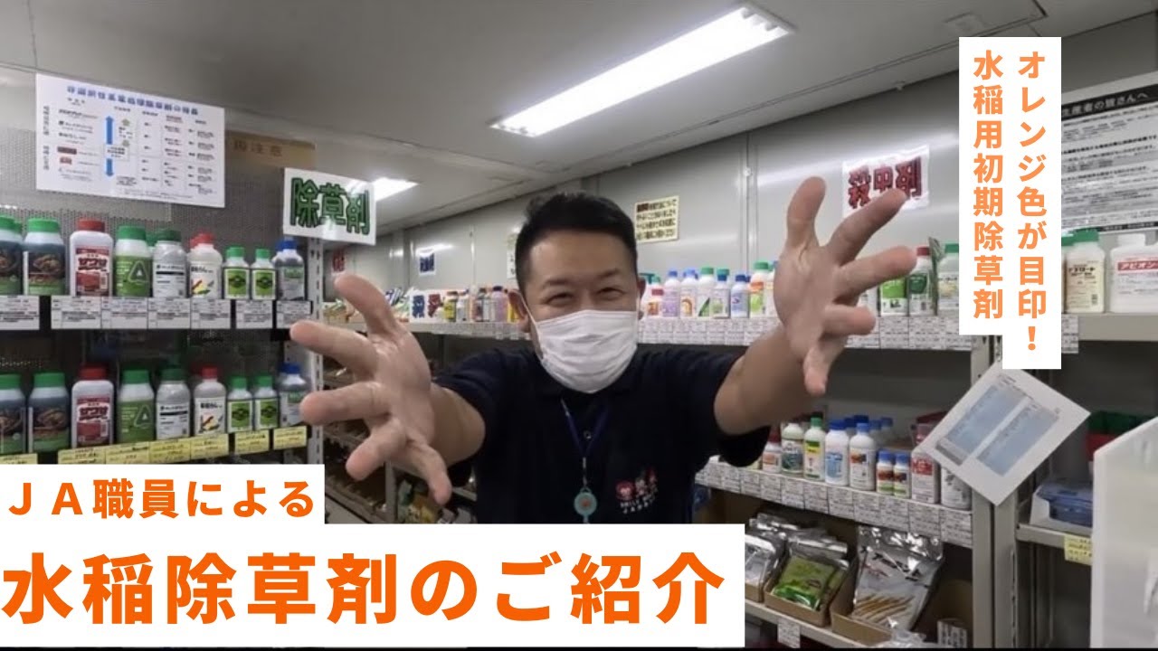 水稲除草剤の紹介！