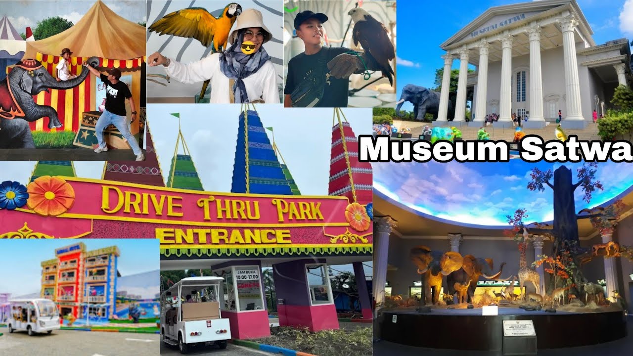 Drive Thru Park Dan Museum Satwa Di Jatim Park 2 #part2 