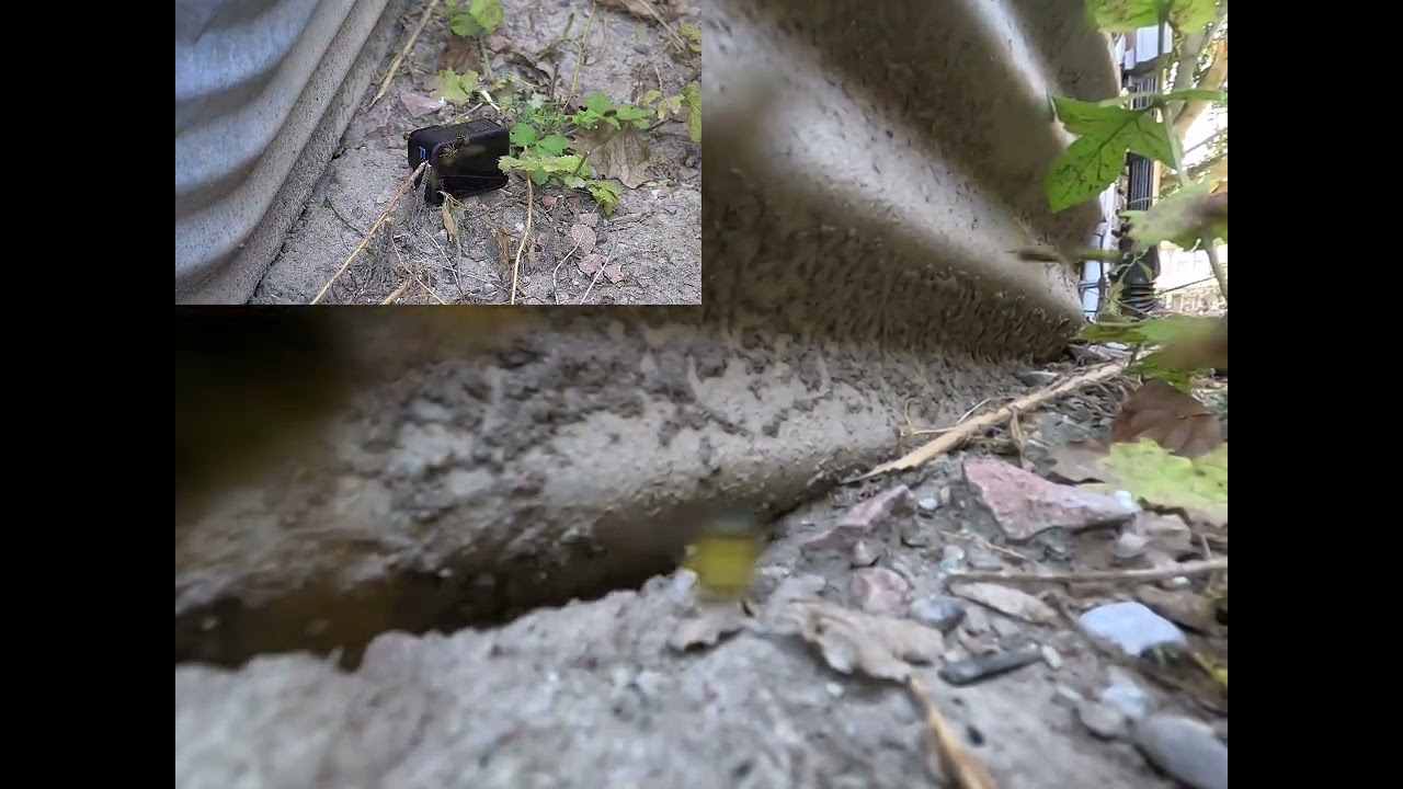 Yellow Jackets get aggressive