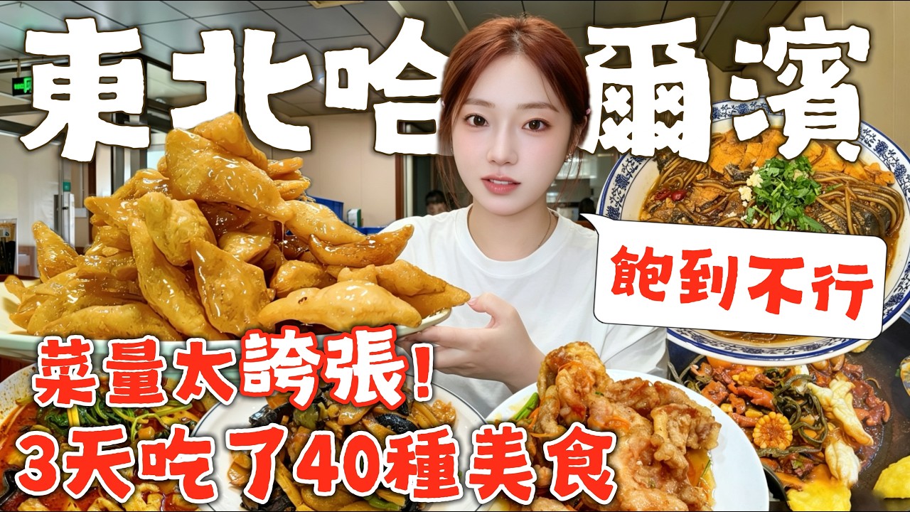 哈尔滨连吃3天，吃爆40种美食，超全东北美食攻略丨锅包肉丨铁锅炖丨鱼香肉丝丨焦烧肉条丨老式麻辣烫丨酥黄菜丨排骨包丨酸菜粉条丨扒肉丨罐儿虾丨牛肉饼丨东北烧烤丨特色快餐丨牛肉麻婆豆腐丨得莫利炖鱼丨帽子饼