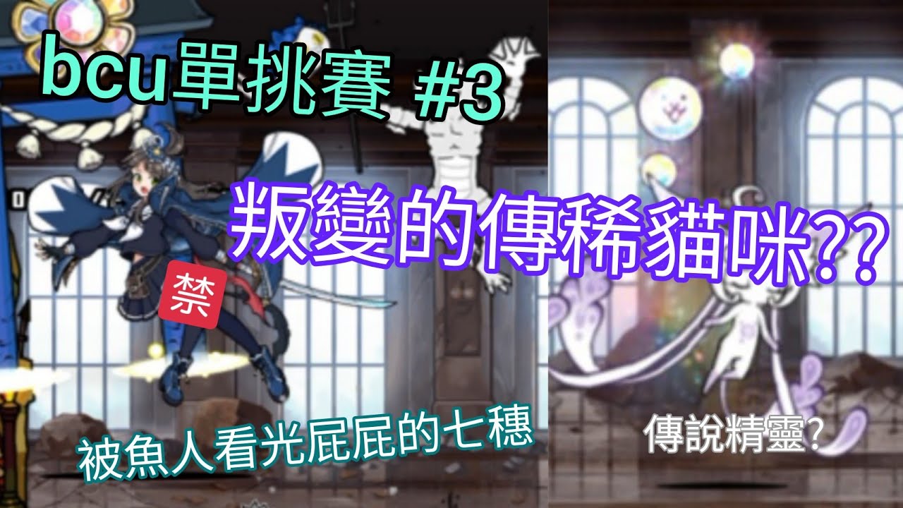 bcu單挑賽#3 叛變的傳稀貓咪們