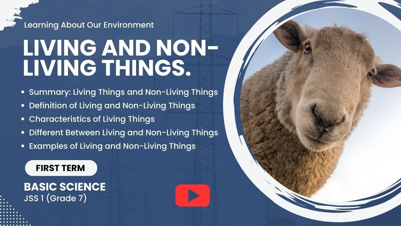Living and Non Living Things