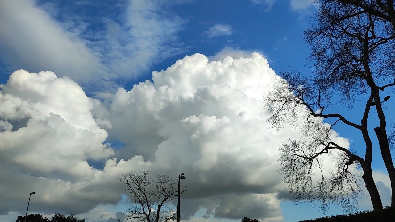 شفت جنود من جنود الله سبحانك يا عظيم🤲🏻