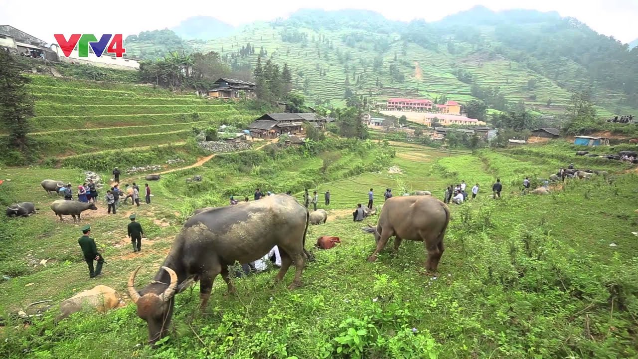 Ký sự vùng biên - Ký sự Lào Cai - Tập 4: Chuyện của dân, chuyện của quân