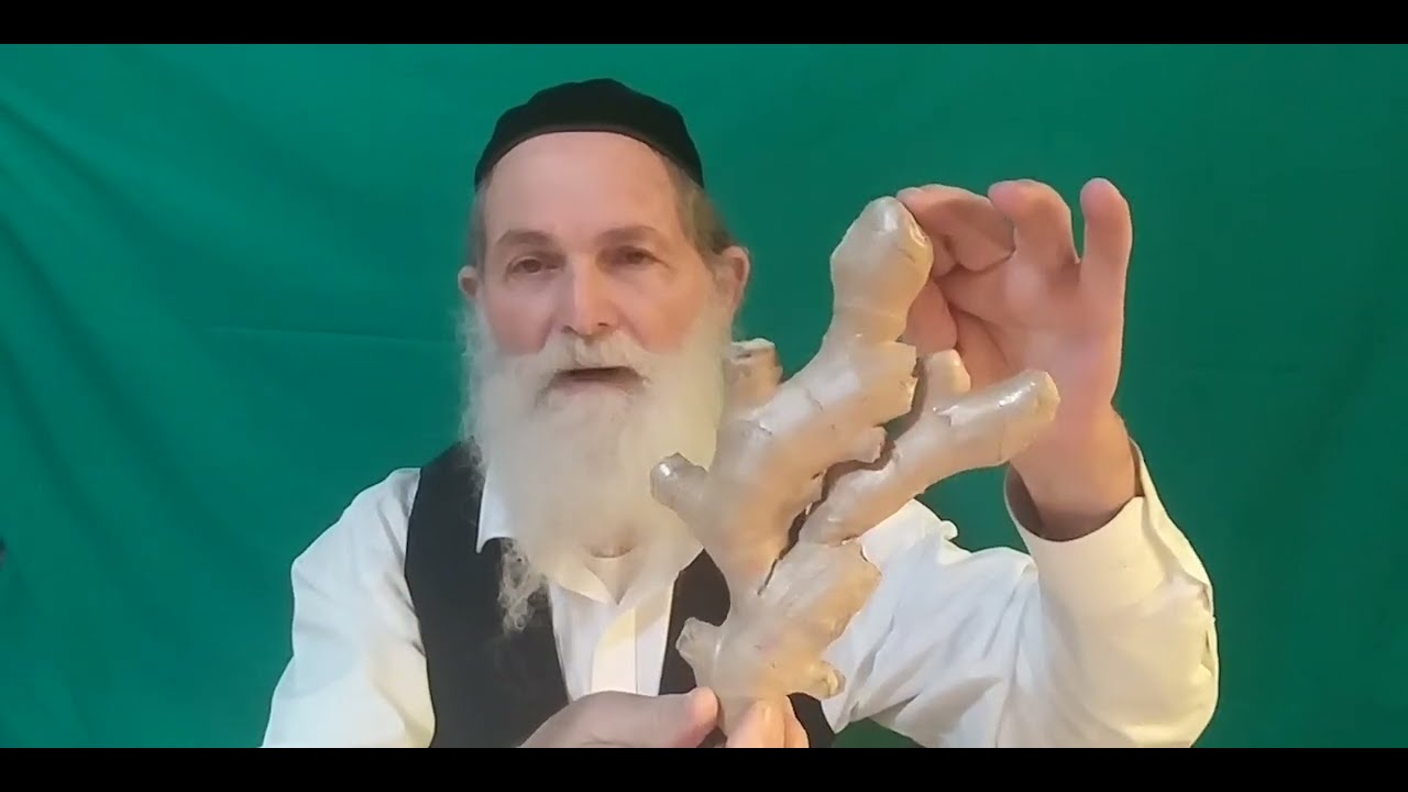סגולות בריאותיות של הג'ינג'ר (הזנגויל) חלק ב