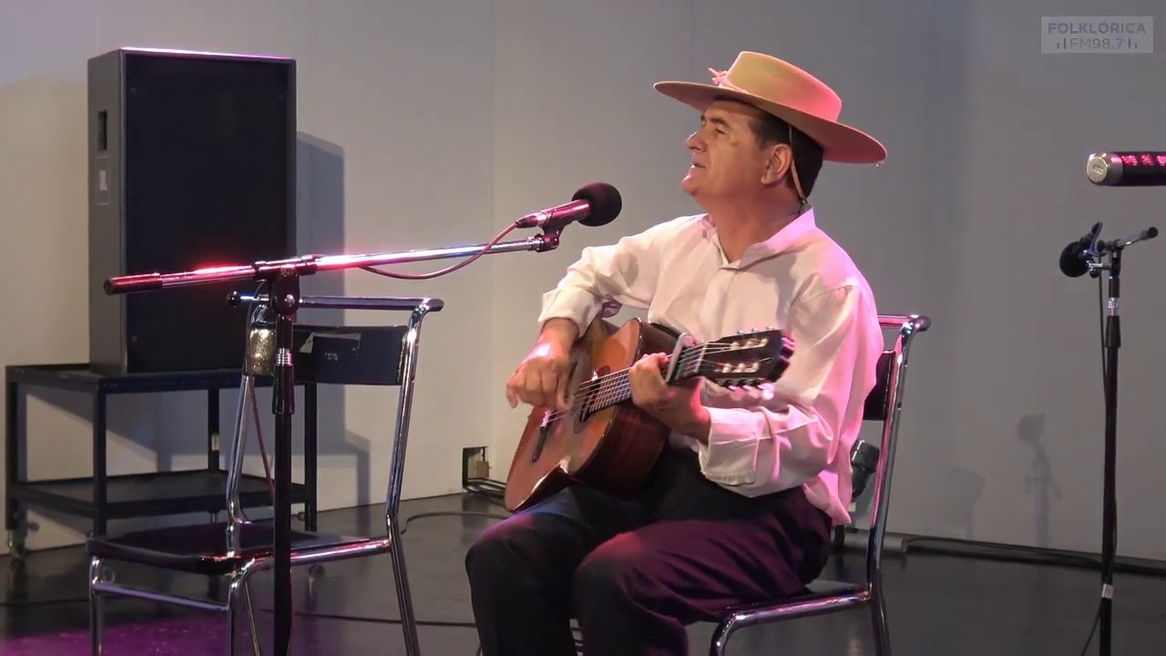 Raúl Palma - Como ave de paso