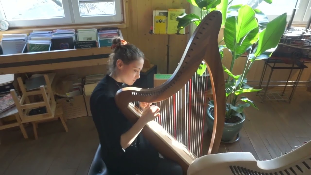 Peaceful Celtic harp improvisation at a harp workshop