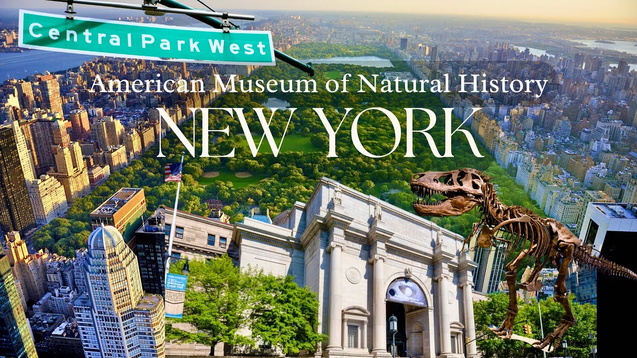 LIFE IN NEW YORK: American Museum of Natural History