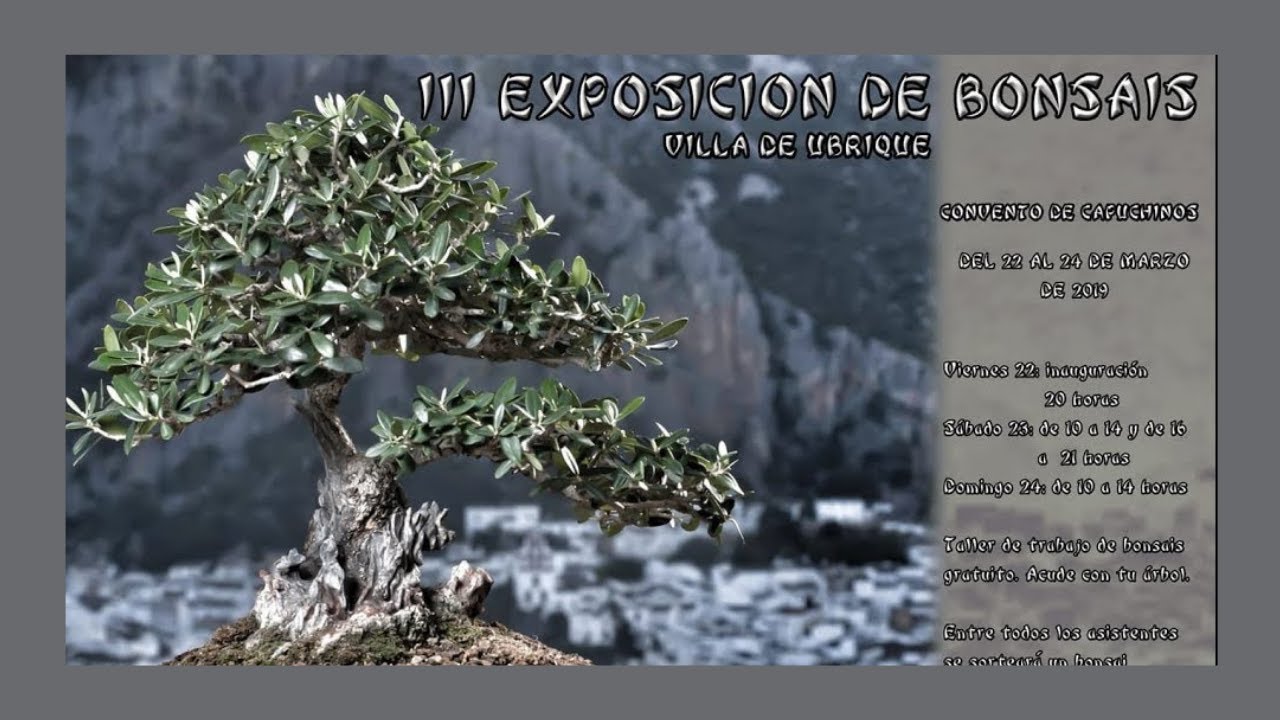 3º EXPOSICION DE UBRIQUE