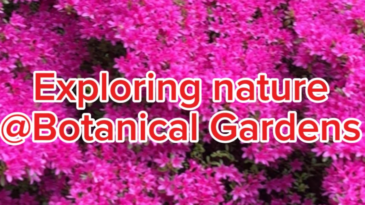 Explore @Botanical Gardens to Chill