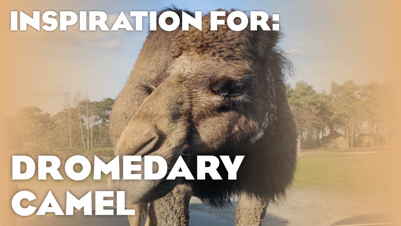 5 Real Dromedary Camel Habitats! (Planet Zoo: Arid Animal Pack Inspiration)