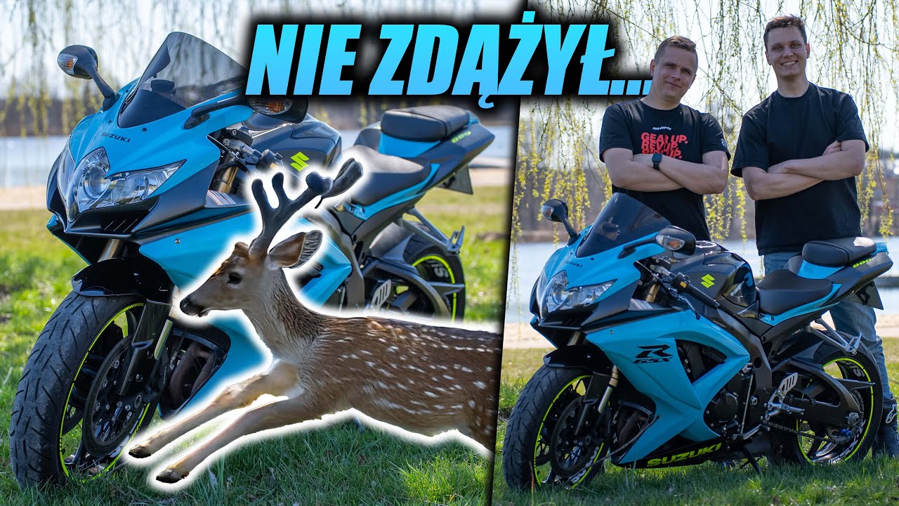 SUZUKI GSXR 600 K9 I… SARNA NA DRODZE - HISTORIA MARCELA