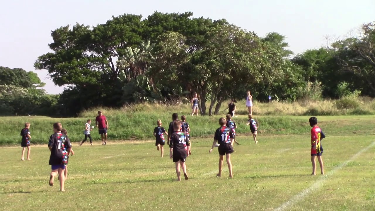 Hillcrest Villagers U11B Vs Harlequins Rugby 2019