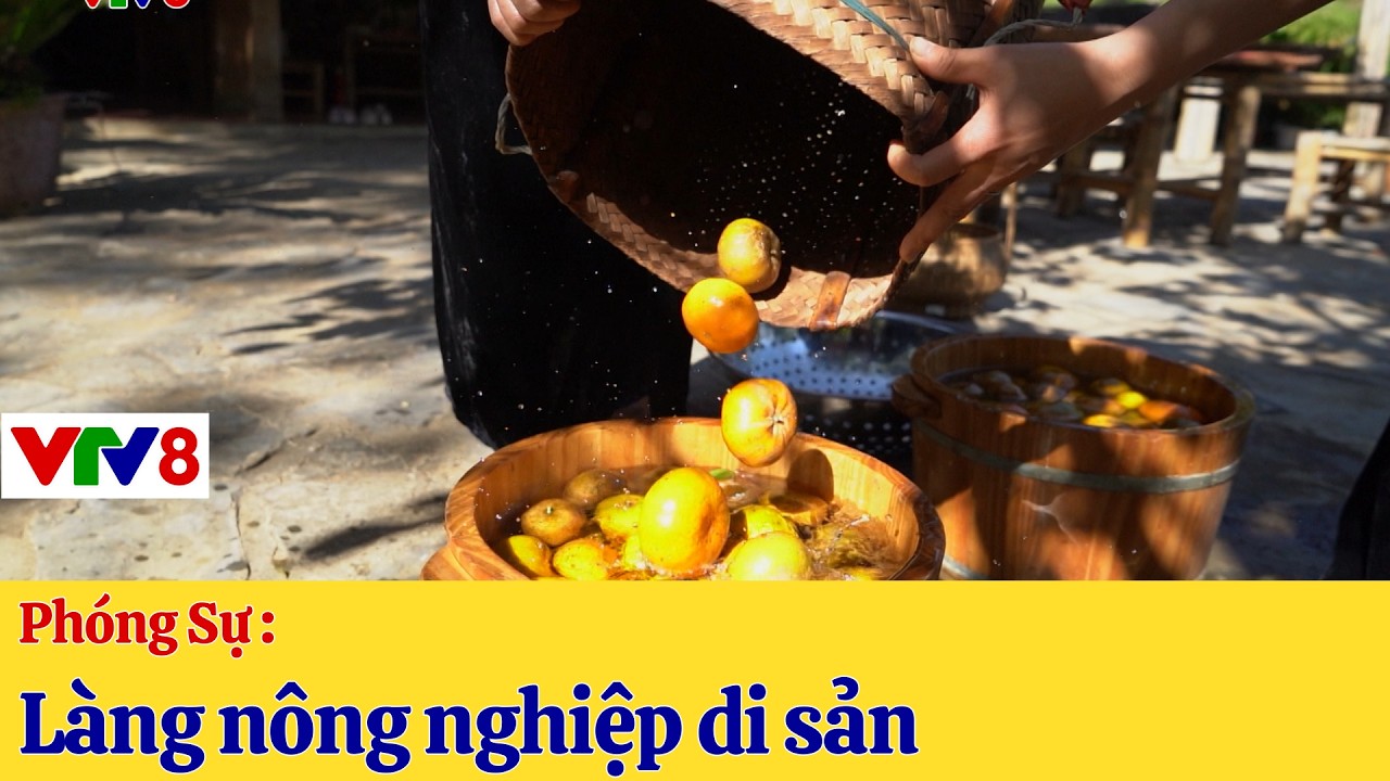 Top: Phóng Sự (TT) : Làng Nông Nghiệp Di Sản