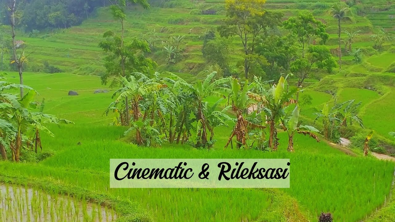 vidio cinematic sawah terasering || Rileksasi pemandangan pesawahan dengan suara hujan gemercik air