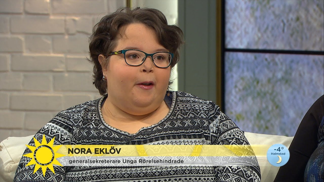 LSS-utredningen: 