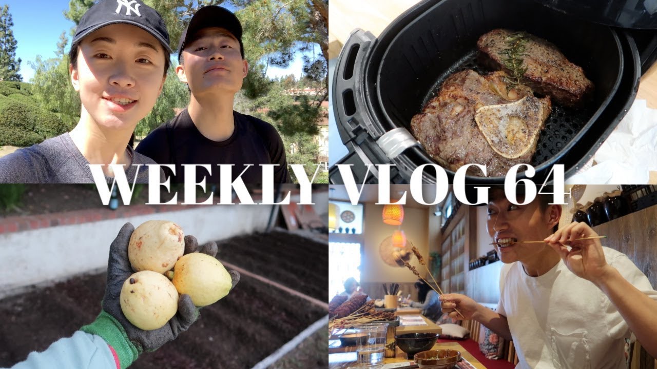 WEEKLY VLOG 64 | 我们的后院update🌼空气炸锅牛排🥩去户外爬山⛰️