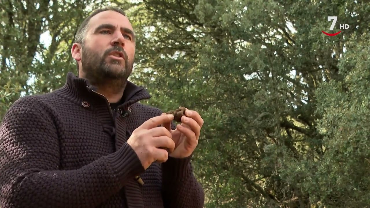Naturaleza viva (2).- La trufa, el santo grial de la micología