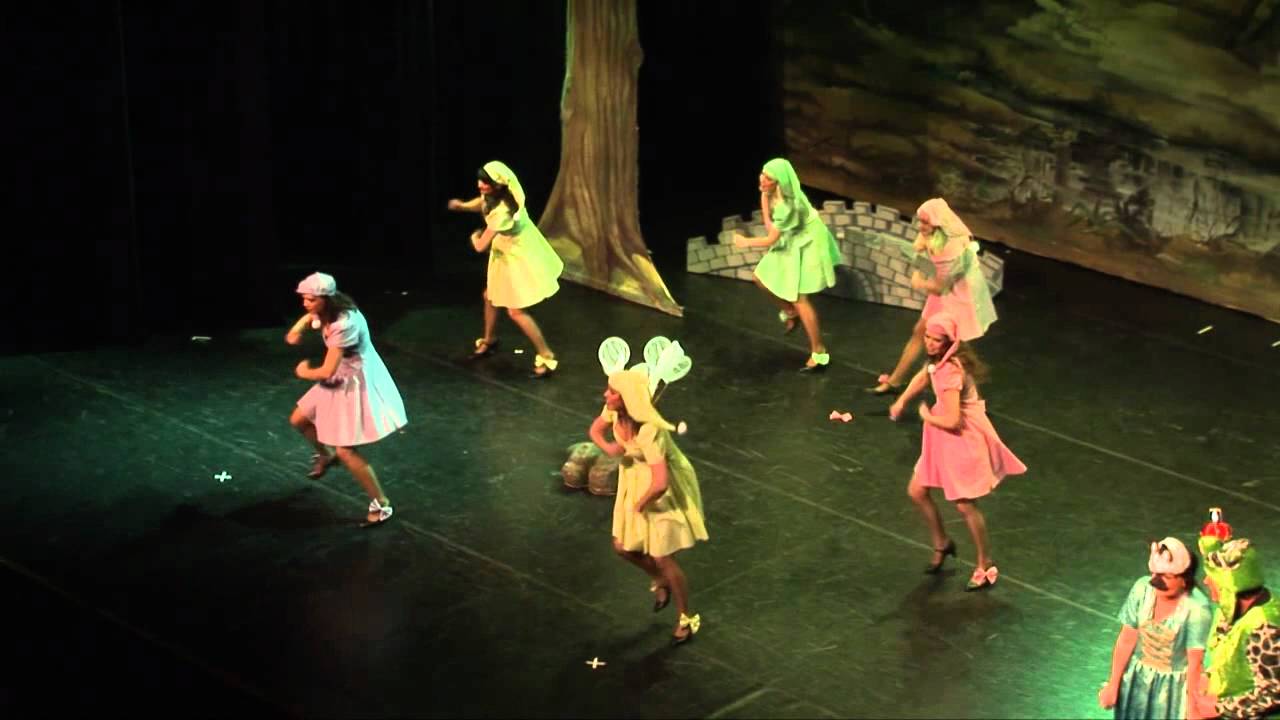 4 Halve finale revue 2012