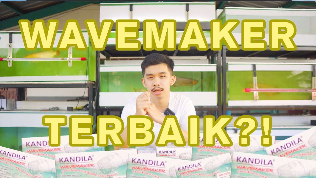 WAVEMAKER INI YANG TERBAIK?! - WAVEMAKER KANDILA