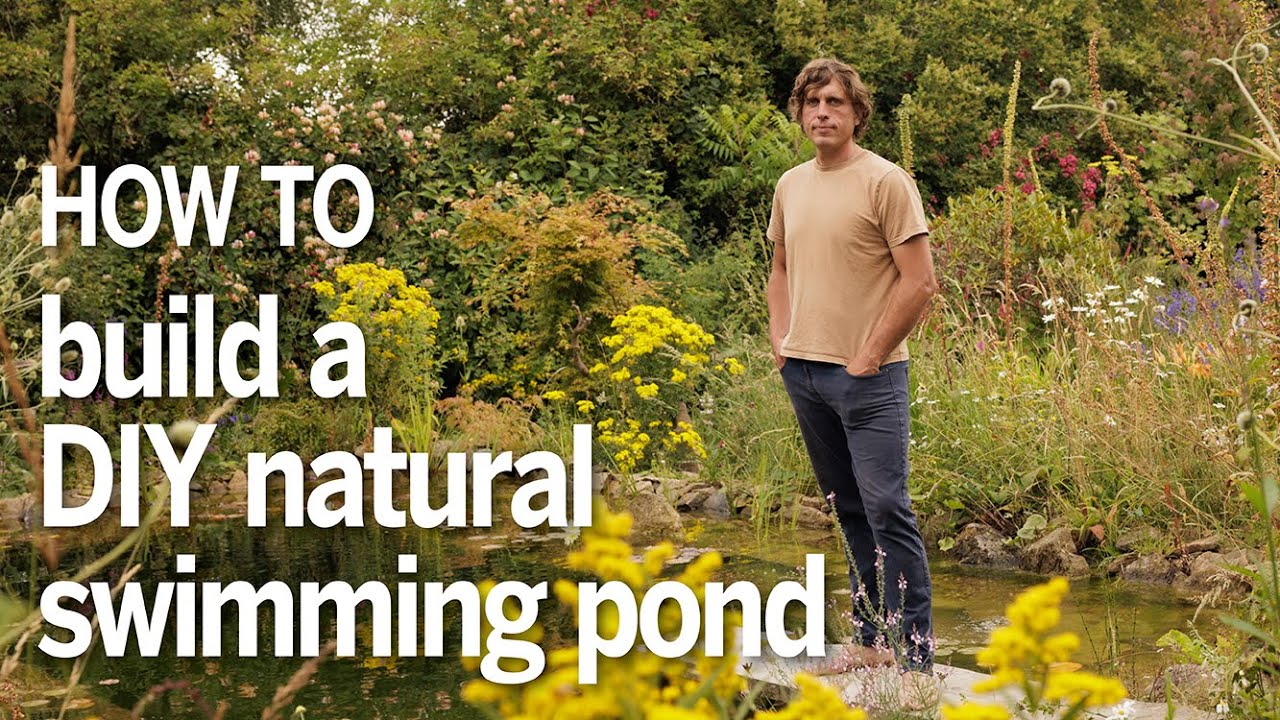 How to build a DIY small natural swimming pond in your garden