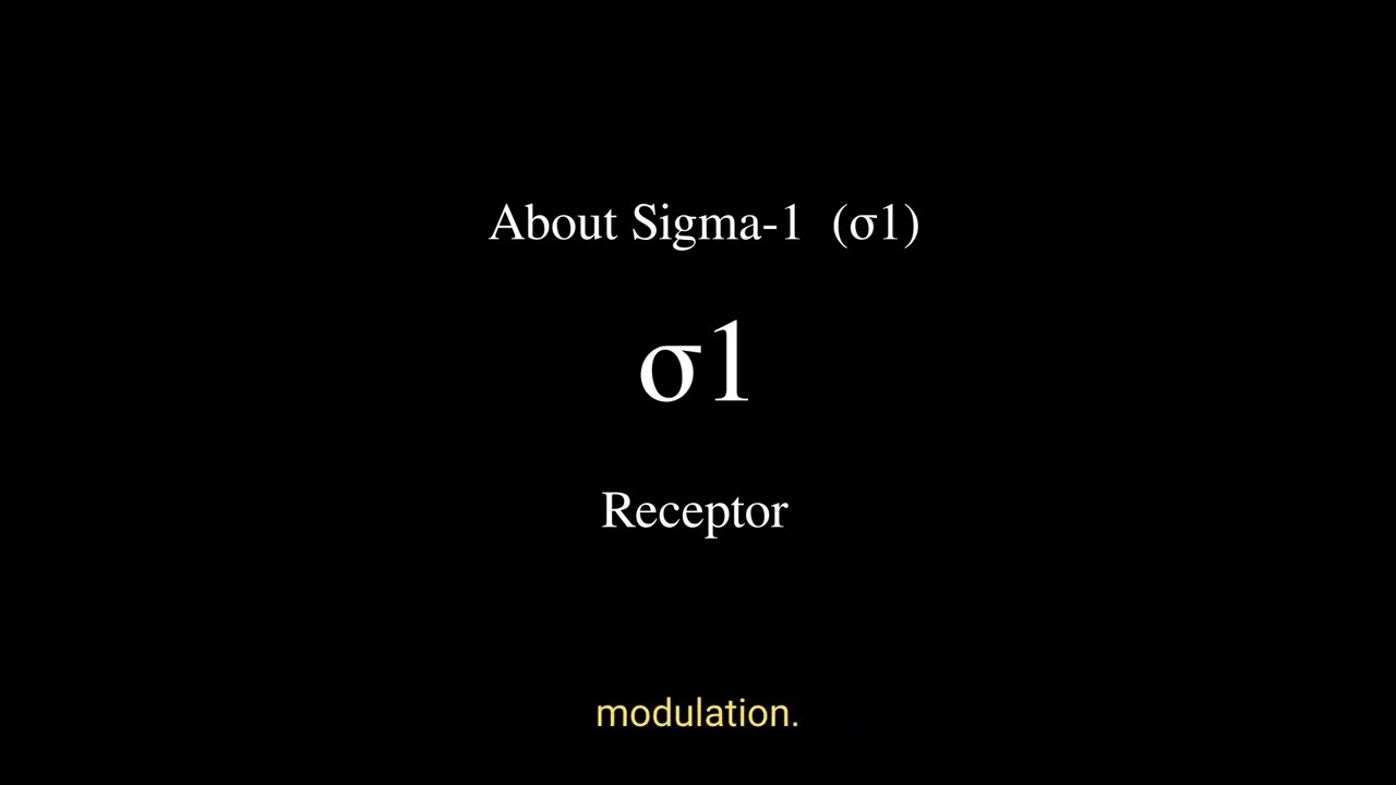 About The Sigma-1 (&sigma;1) Receptor - Research Talk (Nootropic/Psych pathway)