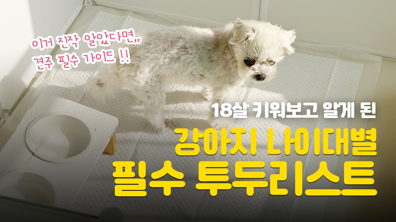 강아지 나이대별 보호자가 꼭 해줘야 할일들! (집사라면 꼭 소장하세요)