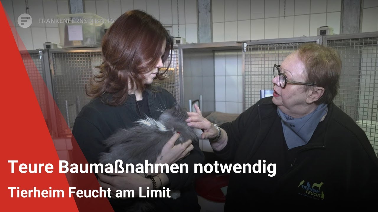 Teure Baumaßnahmen notwendig: Tierheim Feucht am Limit