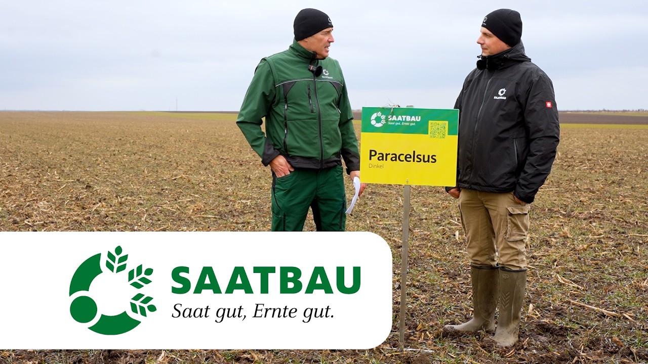 Bestandesführung Dinkel 2026