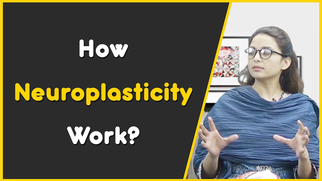 How NeuroPlasticity Work!
