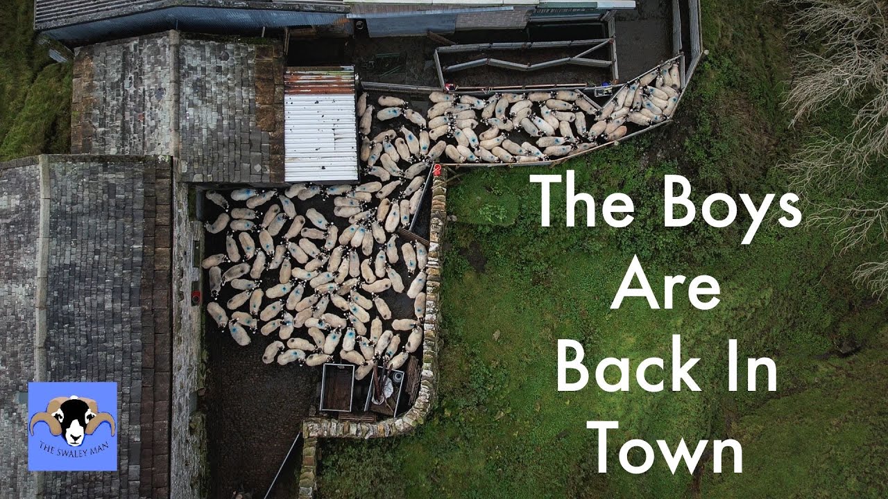 Farming Life S2E61: The Boys Are Back In Town!