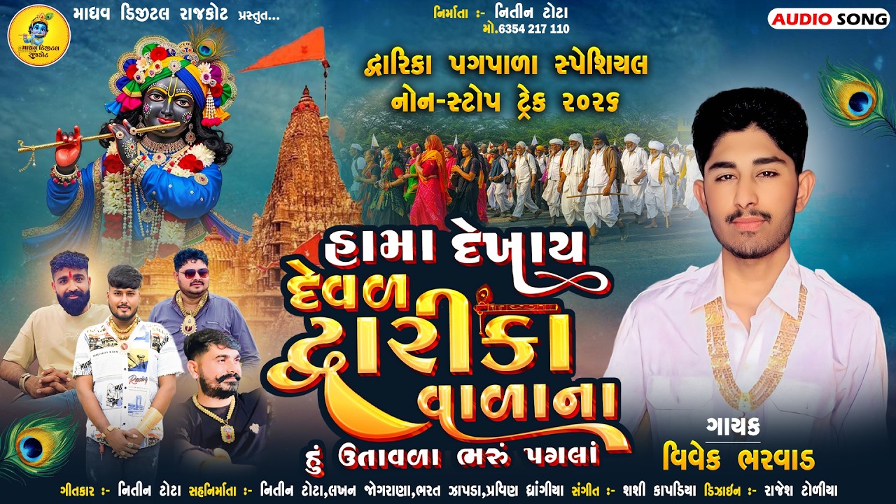 હામા દેખાય દેવળ દ્વારીકાવાળાના (નોન-સ્ટોપ ટ્રેક) | Vivek Bharwad | Dwarika Special NonStop Song 2026