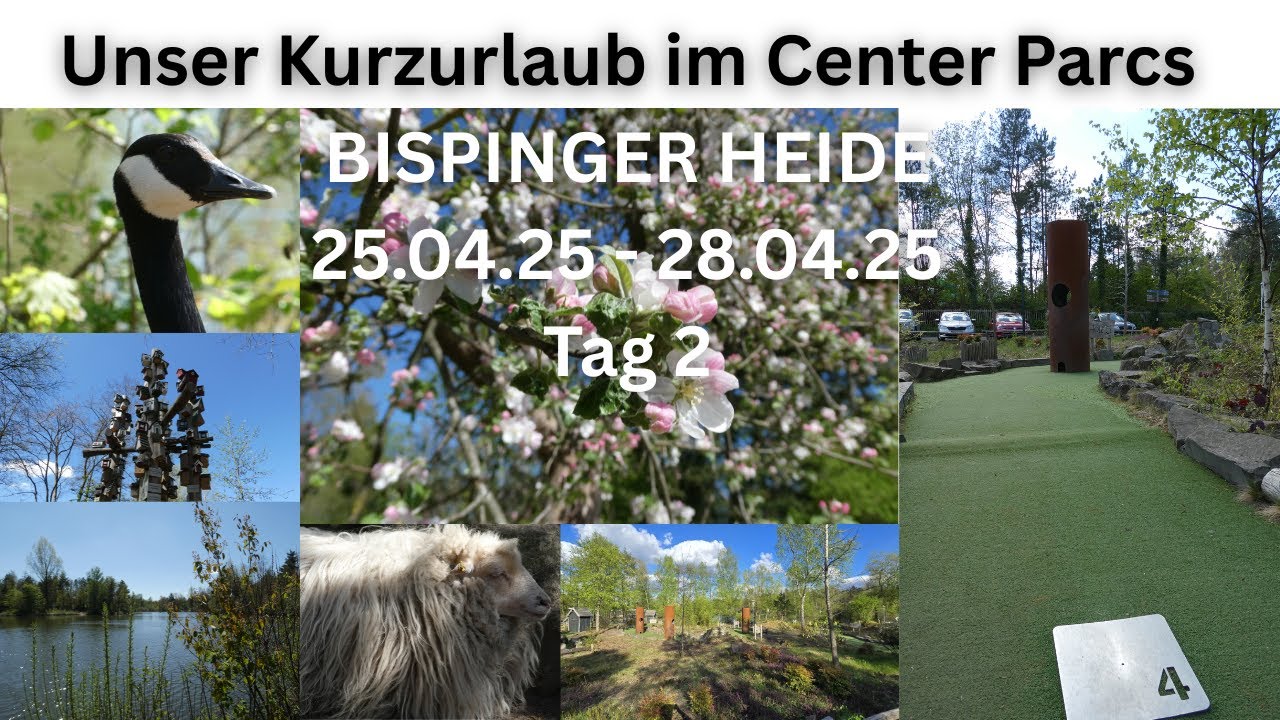 Unser Kurzurlaub im Center Parcs Bispinger Heide 25.04.25 - 28.04.25 - Tag 2 - Minigolf, Bauernhof