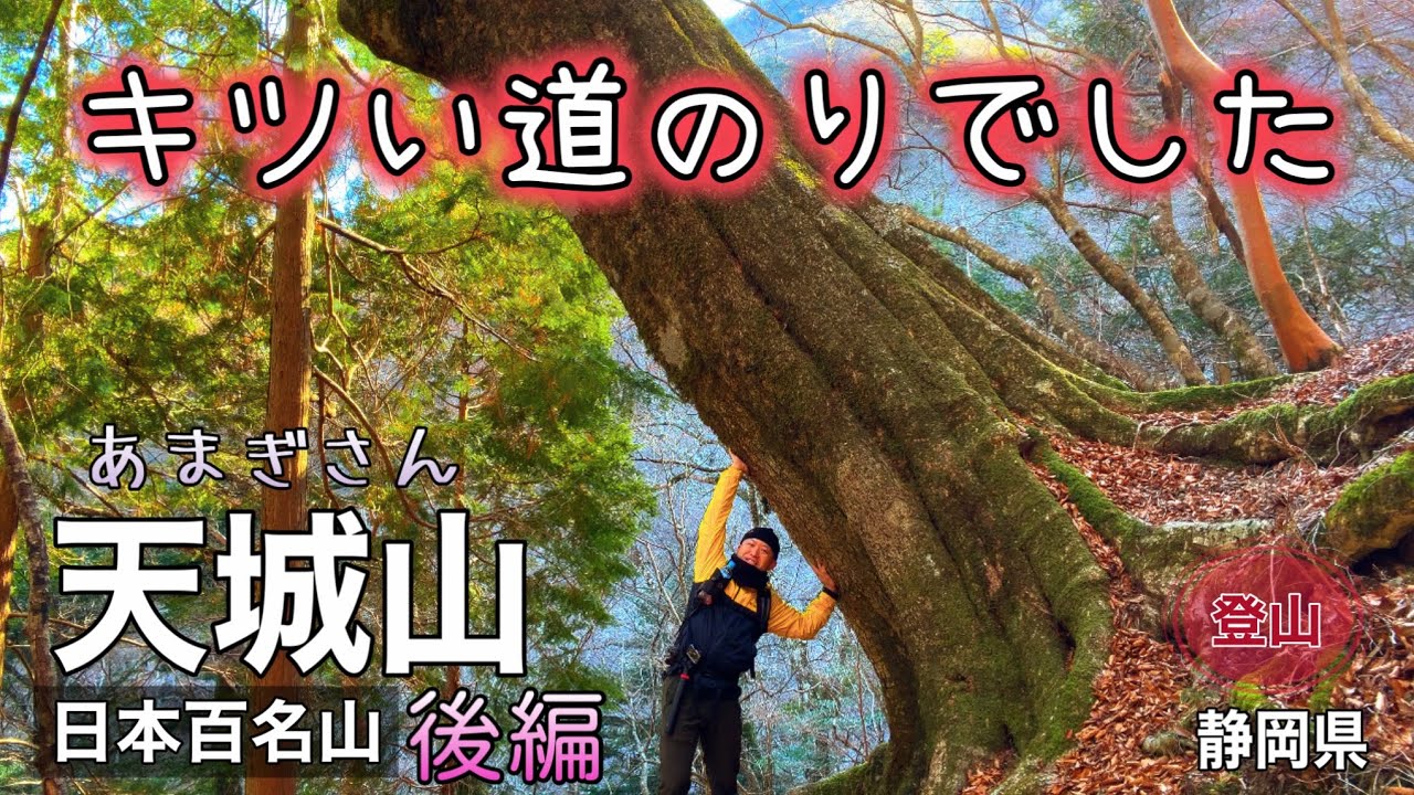 日本百名山『天城山』登山 後編~キツい道のりでした~
