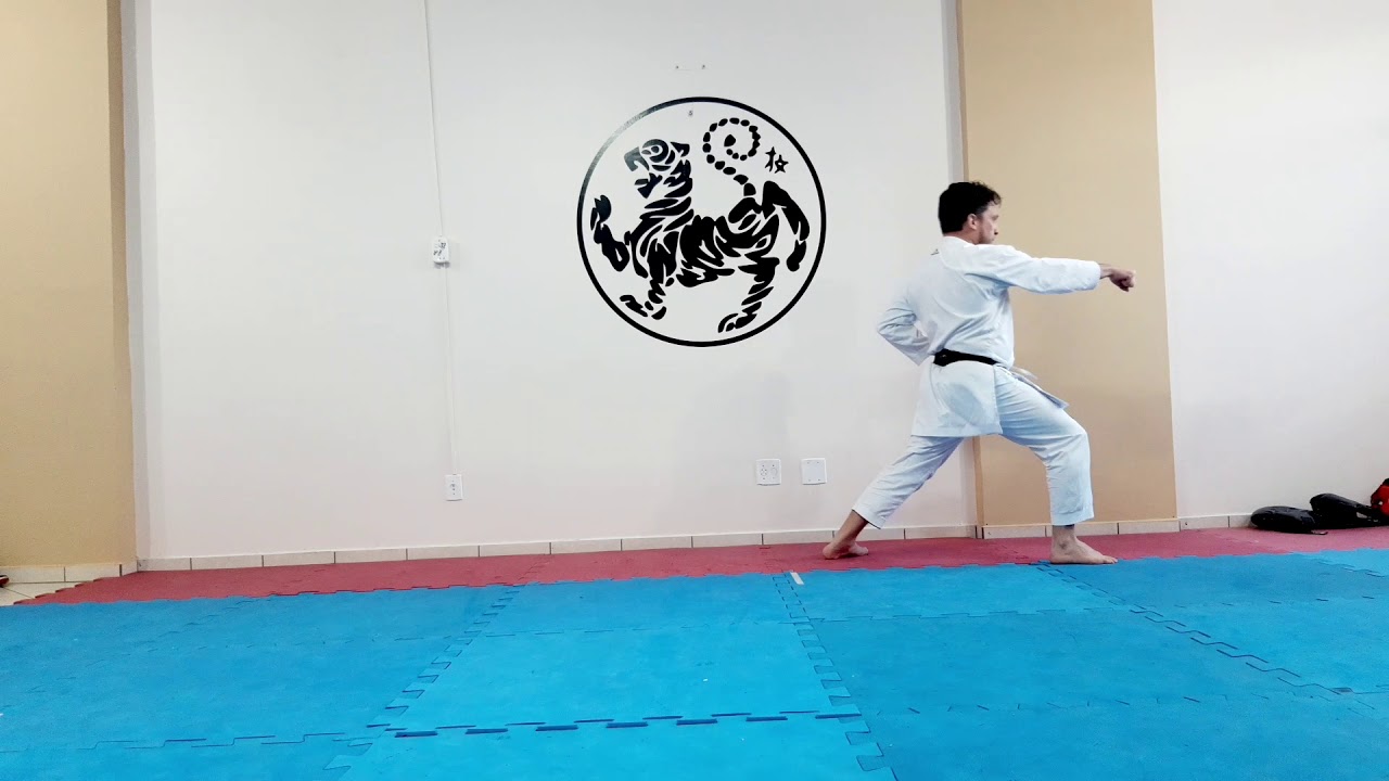HEIAN SHODAN (1°) DESENVOLVENDO KATA "QUARENTREINO"