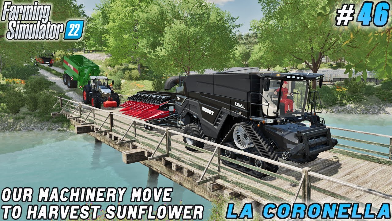 Start-Up for Beverage and Margarine Production, Sunflower Harvesting | La Coronella | FS 22 |  #46