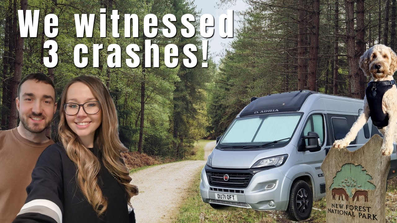 New Forest Adventure: The Good, The Bad, & The Beautiful | Vanlife UK