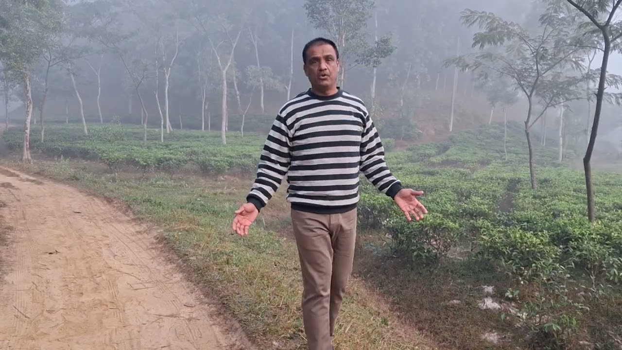 Beautiful winter season,Bangladesh