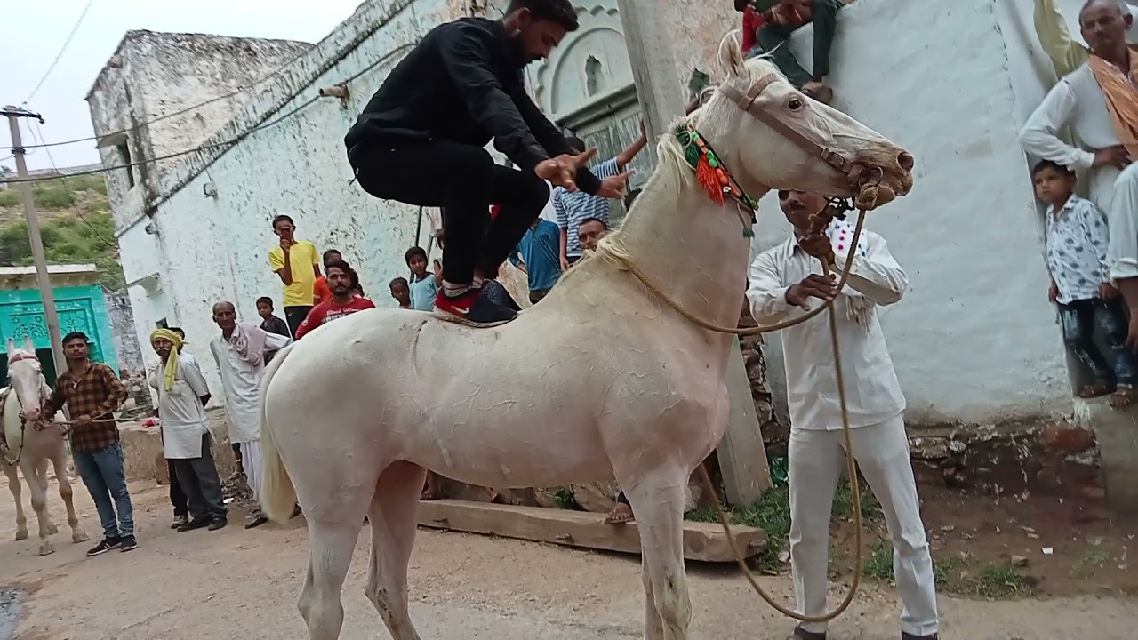 Sanjay band shergarh