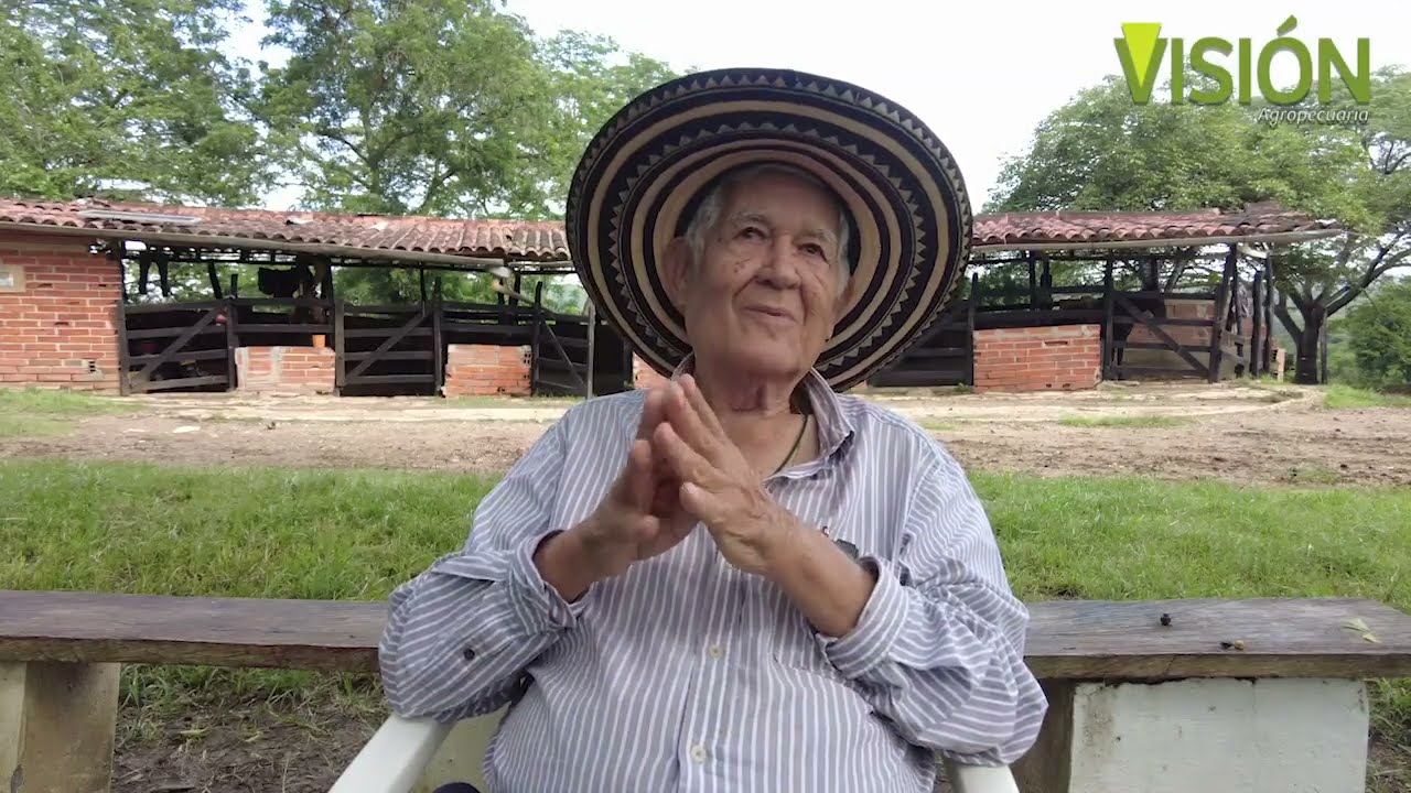 #Ganadería Agrocedro, #brahmanRojo y #brahmanBlanco, la base del doble propósito. Finca La Ilusión