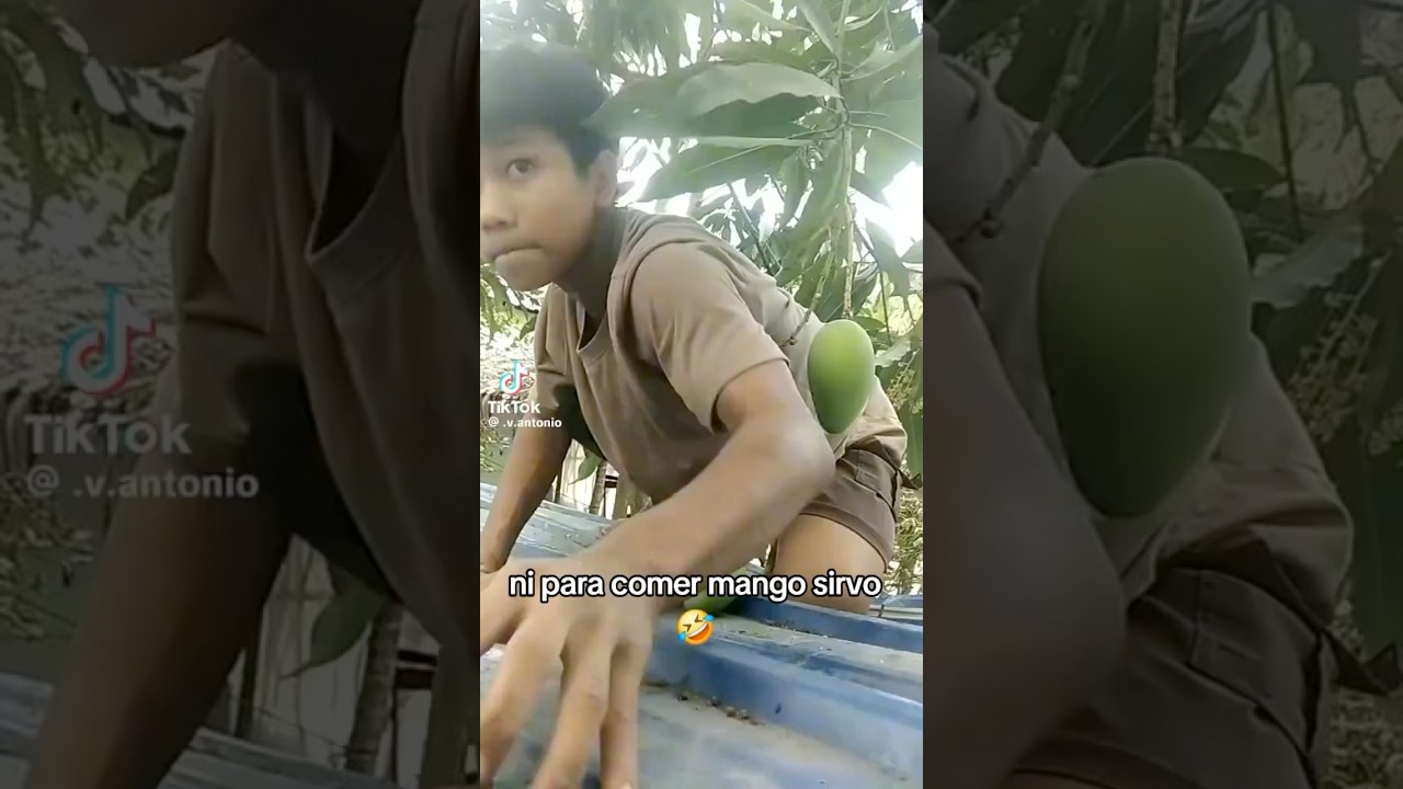 Ni para comer mango sirvo #humor #elpersonajedelasemana #comedia #youtubeshorts
