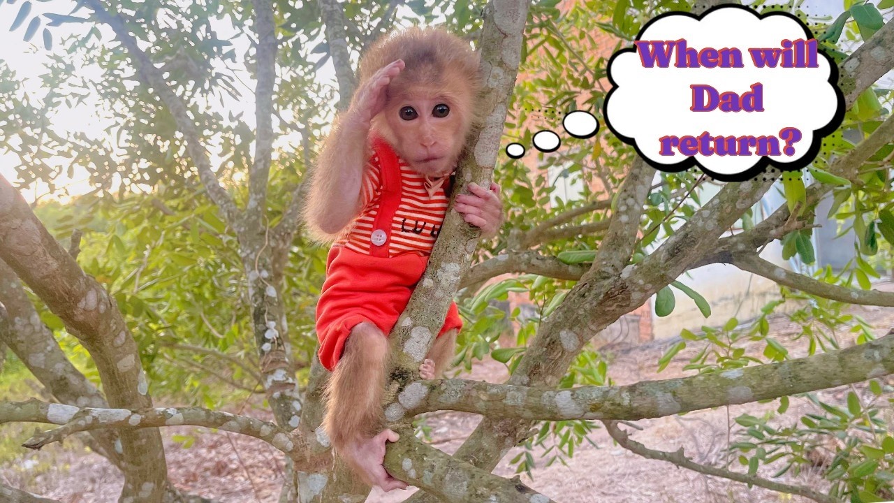 Lulu Hopes Dad Will Return After His Phone Call with Uncle Dai